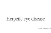 Herpetic eye disease
