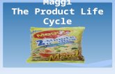 maggi-product life cycle