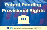 Patent Pending Provisional Rights