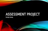 Assesment Project PPT