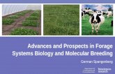 2015. German Spangenberg.  Advances and prospects in forage systems biology and molecular breeding