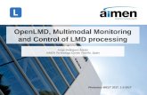 OpenLMD, Multimodal Monitoring and Control of LMD processing