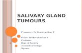 Salivary gland tumor
