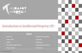 Introduction to Intellectual Property and Patents