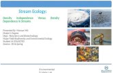 Final ppt of stream ecology 1