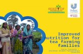 Katja Freiwald - Improved nutrition for tea farming families