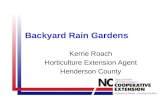 Backyard raingardens