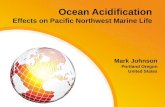Effects of ocean acidification