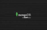 MongoDB Best Practices