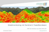 Forest Monitoring using SENTINEL2  Satellite Data
