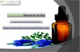 Get premium range of natural essential oils at natures natural india