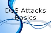 Basics of Denial of Service Attacks