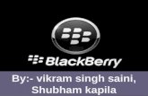 marketing presentation on blackberry