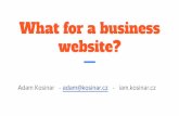 What for a business website?