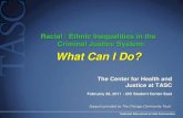 Racial / Ethnic Inequalities in the Criminal Justice System: What Can I Do?