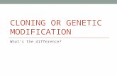 Cloning & Genetic Engineering
