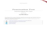 penetration testing - black box type
