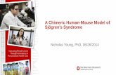 “A Chimeric Human-Mouse Model of Sjögren's Syndrome”