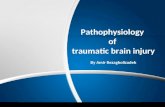 Pathophysiology of traumatic brain injury