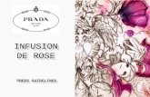 Prada parfums Infusion de Rose