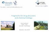 Fragments for drug discovery and chemical biology