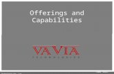 Capabilities Presentation - Vavia Technologies 1.1