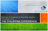 Policfeasebility bamboo study demand iesinsupporttobamboosectordevelopmentthephilippineexperience mylineo-150413220504-conversion-gate01