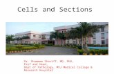 Victorypath2017 slide seminar 3-cells and sections by Dr Shameem Shariff.