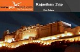 Fort and palaces Trip to Rajasthan India