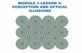 Module 3 Lesson 3: Perception