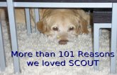 101 Reasons We Loved Scout  Music