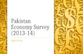 Pakistan Economy Survey (2013-14)