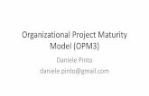 Organizational project maturity model (opm3)