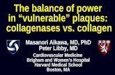 073 collagenases vs collagen