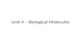 Lesson 19   unit 4 – biological molecules