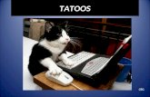 2039 chats tatoués