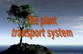 P6 std sc  plant transport system