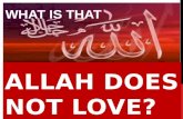 What allah does not love