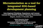 Microsimulation as a tool to integrated SDG-based development planningMicrosimulation as a tool to integrated SDG-based development planning