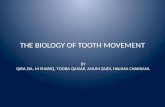 The Biology of tooth movement (Orthodontics)