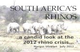 South Africa’s Rhinos