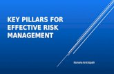 Key pillars for effective risk management