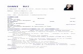 CV of Baidanni au français new