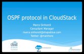 Approaches to enable the OSPF protocol in Apache CloudStack