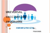 Universal  vaccination programme