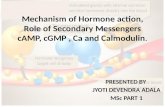 Mechanism of Hormone action, Role of Secondary Messengers cAMP, cGMP , Ca and Calmodulin