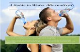 Birch Water | A Guide to Water Alternatives