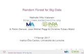 Random Forest for Big Data