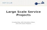 Large Scale Service Projects