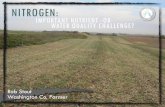 Rob Stout - Nitrogen: Important Nutrient or Water Quality Challenge